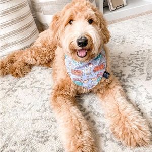 NWOT Tails Up, Pup Friends Themed Dog Bandana
